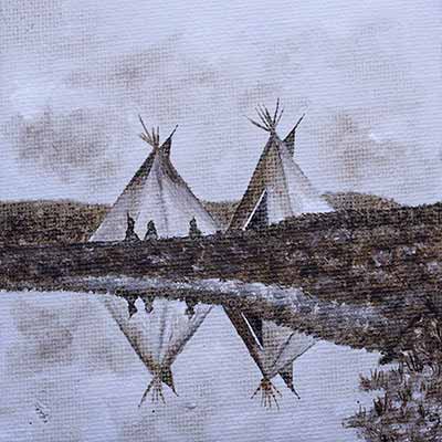 Indian spirit | Wild life